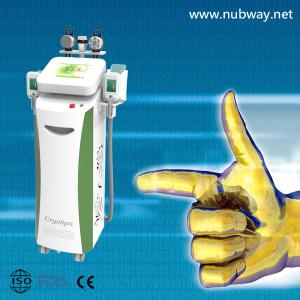 China Cryolipolysis Slimming Machine / Fat Freezing Machine factory