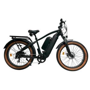 China Adult Electric Mountain Bike 26 Inch 48V 1000W Motor Lang Range Aluminium Alloy Ebike factory
