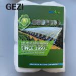 Wholesale Custom Large Size Galvanized Greenhouse Tunnel Greenhouse For