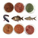 Agricultural Animal Food Twin Screw Extruder Production Line Fish Feed Pellet