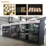 APET Egg Tray Moulding Machine PLC Blister Thermoforming 120mm