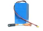 Rechargeable WIFI 12volt 1000ah Lithium Ion Battery Pack