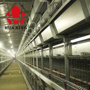 China Automatic Broiler Chicken Cage For Animal Poultry Husbandry Livestock Durable factory