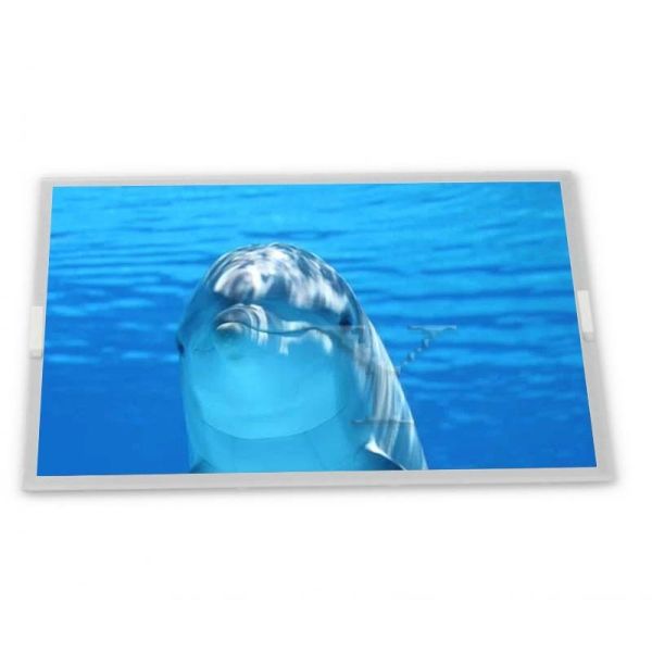 5.6-Inch AT056TN52 V.5 /AT056TN52 V5 WLED TFT OLED Display Module 640*480