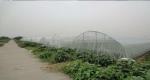 250 Meters Insect Screen Mesh ,100% HDPE Greenhouse Insect Protection Netting