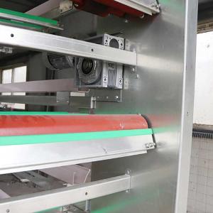 China U Shape Steel Automatic Poultry Cage , 3 Phase 50HZ A Frame Layer Cages factory