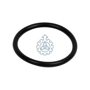 China O-ring 7400925073,925073 factory