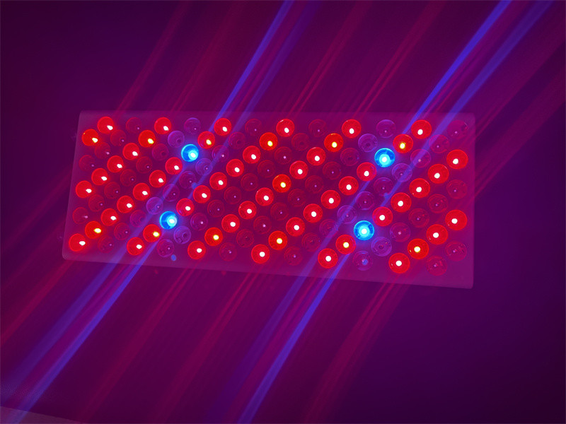Home Use 8 Wavelength Full Body Red Light Therapy Panel 600w
