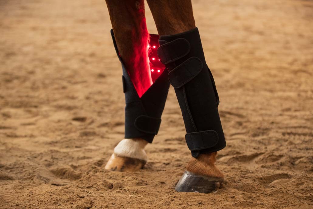 65W 120pcs LED Near Infrared Red Light Therapy Pad For Horse Back