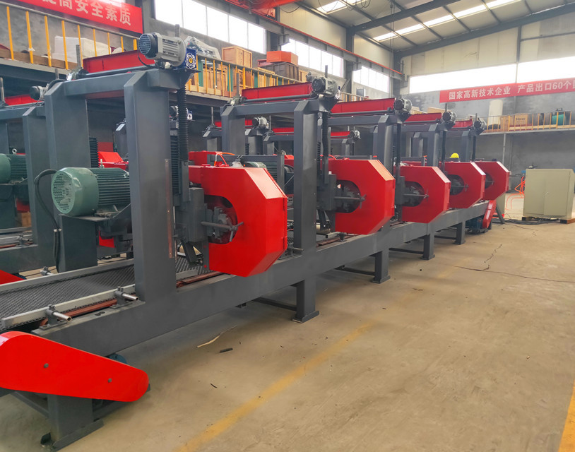Multiple Head Horizontal Band Resaw Machine, 6heads Multi Heads Resaw Sawmill for sale