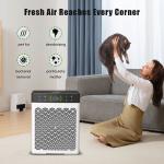 OEM Indoor Dehumidifier And Air Purifier Cat Litter And Dog Urine Deodorizer