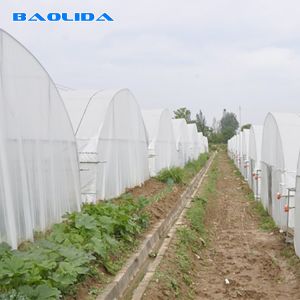 Galvanized Steel Structure PE Plastic Tunnel Greenhouse Polyethylene Film