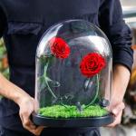 New Shape Glass dome Preserved Long Lasting Rose With Curving Stem In Glass Bell