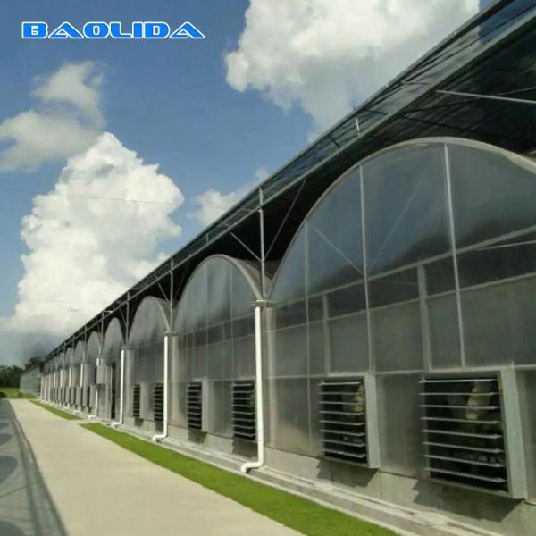 China Multi Span Tunnel 8mm Polycarbonate Sheet Greenhouse For Gardening factory