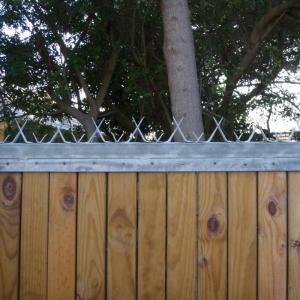 China PVC Coating Barb Length 90mm Wall Security Spikes For Fence Tops 1m 1.25m 1.5m factory