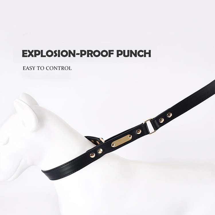 Hands Free Dog Leash And Collar , Leather Dog Leads And Collars