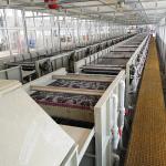 48 Wires Zinc Coating Machine Electro Galvanizing Φ0.7mm-Φ3.0mm wire