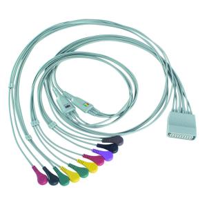 China Compatible for PH Telemetry Holter ECG 10Lead ECG Cable Holter IEC Snap factory