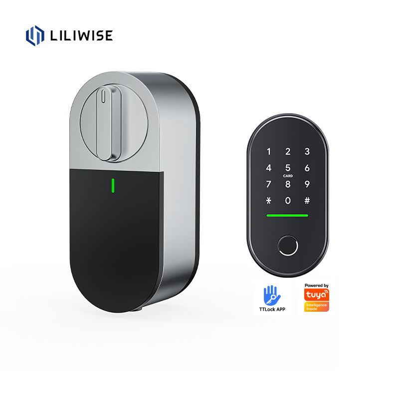 China Liliwise OEM ODM Retrofit Smart Lock Digital Door Lock Electronic Motorized Smart Door Lock Fits EU Profile Cylinders factory