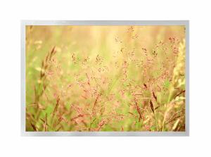China 20 Pins Industrial Screen 12.1&quot; IPS TFT LCD Display 1280x800 Lvds factory
