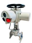 ZXC Type Electric Rotary Actuator