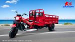50 * 100 Motorized Cargo Trike 250cc Three Wheel Motorcycle Fuel Type Petrol