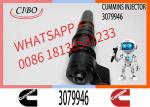 Diesel Common Rail Injector 3406604 3411821 3071497 3087648 4914328 3018835