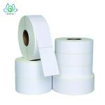 Waterproof High Adhesive Blank Vinyl Record Label Stickers , Blank Roll Labels