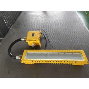 China Description The server understood the request Explosion-proof fluorescent lamp on sale