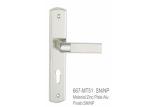 European Privacy Zinc Alloy Door Handle Special Logistics Packaging