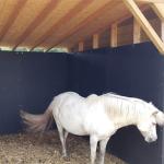 Horse Stable Wall Protectors Stall Wall& Bumper Guards Self Adhesive Foam Wall