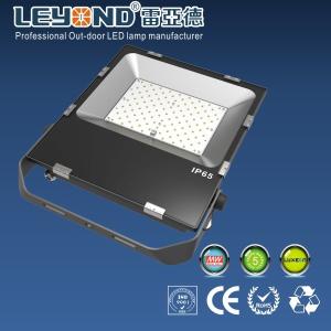 China Dimmable Bridgelux 45Mil Waterproof LED Flood Lights100w Outdoor Led Garden Flood Lights factory