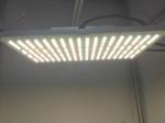 Aeroponic Farming 210lm/W 3000K Quantum Board Led Grow Lights