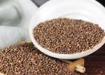 Original Flavor 2mm Oil Extraction Perilla Seed