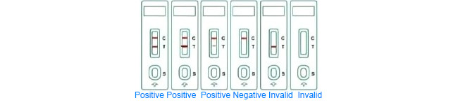 Feline Panleukopenia Virus Antigen Pet Rapid Test Kit 10Tests/Kit GMP ISO9001
