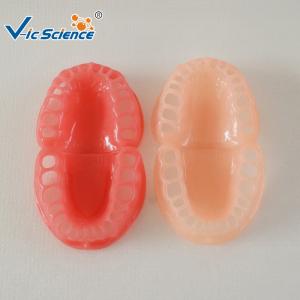 China Angle'S Classification Staggered Jaw Model factory