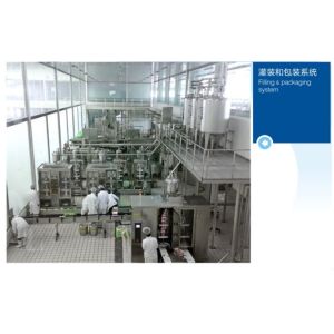 Custom Size Dairy Processing Plant Milk Processing Machine Low Consumption