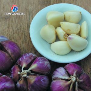 Garlic Peeling Machine garlic Destoning Peeling & polishing processing