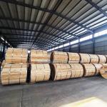 Overhead Distribution Line AAAC 6201 All Aluminum Alloy Conductor Sheath