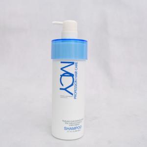 China PE Shampoo Bottle-34 with pump factory