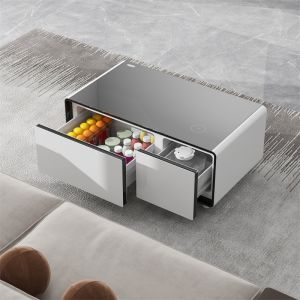 Mini Refrigerator Smart Coffee Table with Wine Cooler and Music Player Function