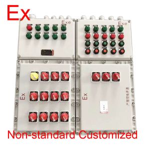 China Customized IP65 Explosion Proof Panel , 220V / 380V Electrical Control Box on sale