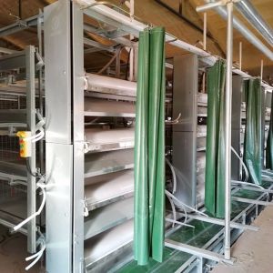 Low Flexibility Broiler Chicken Cage System Widely Sleek And Modern Design