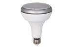 BR LED Lamp, BR20 / BR30 / BR40, 8W / 13W / 15W, 2700K/4200K/6500K, 120 Degree