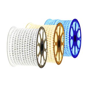 China Roll 100M IP65 SMD2835 Colour Changing Light Strip factory