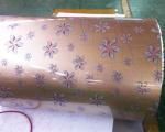 PPGI PCM Coated Steel Plate Pre Painted Zinc Steel Rolls For Home Appliance