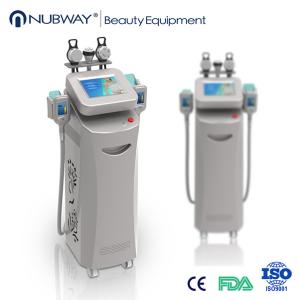 China cryolipolysis slimming equipment/price cryolipolysis/cryolipolysis fat freezing factory