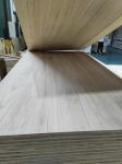 FSC 100% Certificate Multilayer Furniture Panels with Paulownia Wood Board