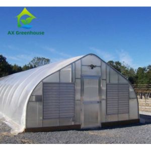 Plants Cultivation Single Span Polycarbonate PC Sheet Greenhouse with Stable