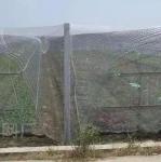 Plastic bird-proof net PE enlarged thickened greenhouse agricultural breeding